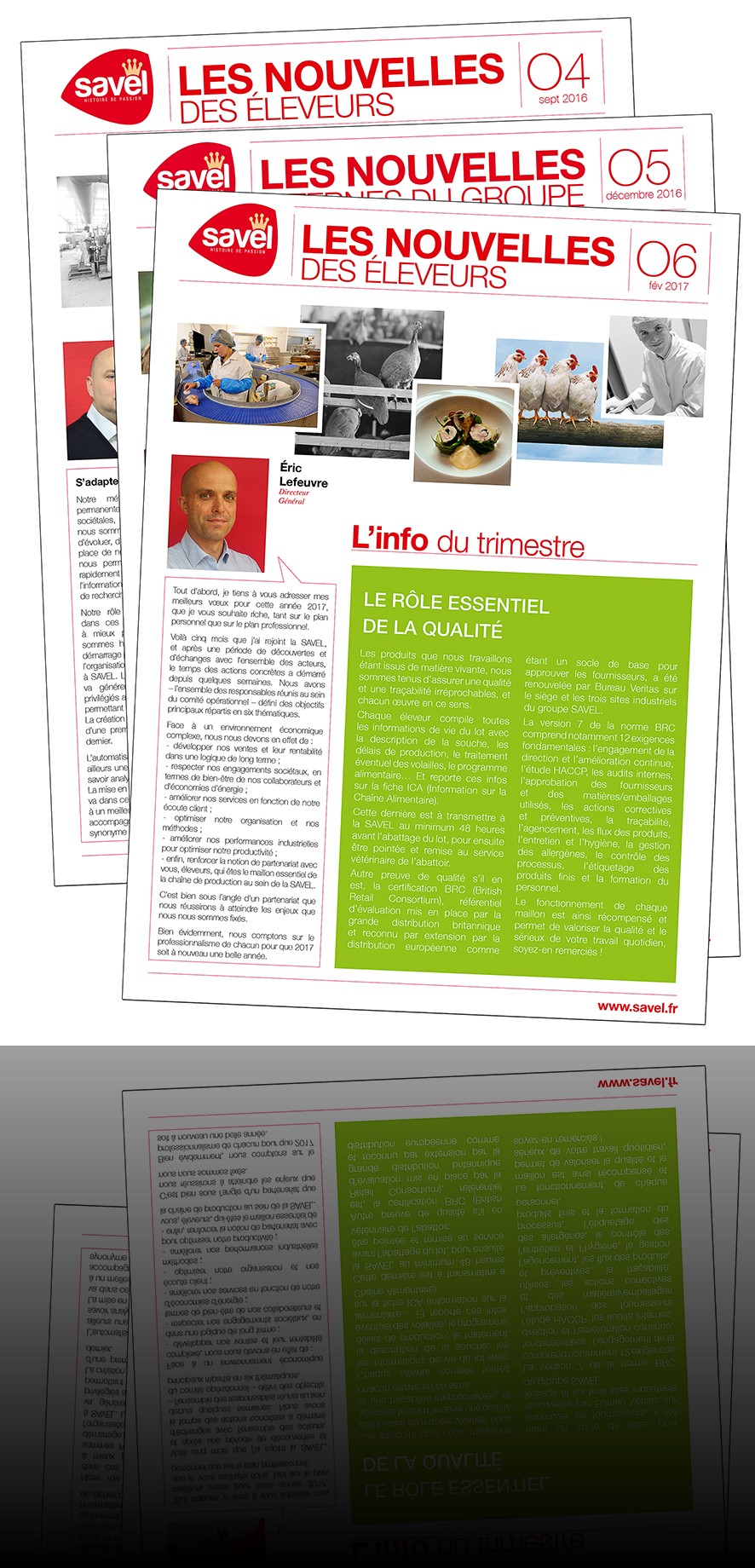 Newsletters SAVEL, à Lannilis